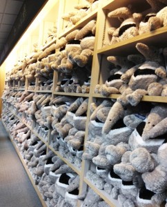 Shelf of Anteaters